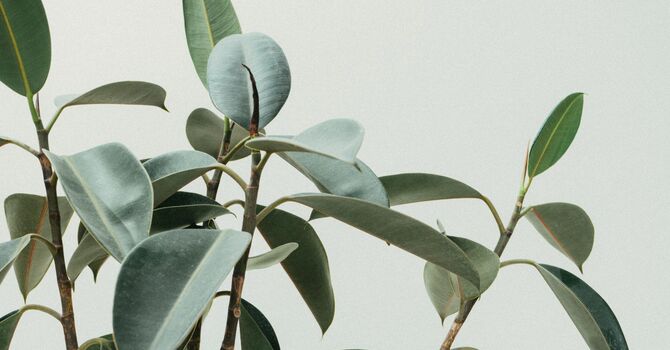 Pelvic Health Physiotherapy